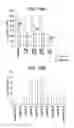 Fig. 13 - METHODS AND COMPOSITIONS FOR TREATING VIRAL OR VIRALLY-INDUCED CONDITIONS