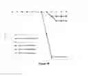 Fig. 11 - Methods and compositions for inhibition of polymerase