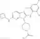 Fig. 232 - Substituted aminopurine compounds, compositions thereof, and methods of treatment therewith