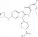 Fig. 243 - Substituted aminopurine compounds, compositions thereof, and methods of treatment therewith