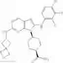 Fig. 308 - Substituted aminopurine compounds, compositions thereof, and methods of treatment therewith