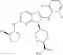 Fig. 365 - Substituted aminopurine compounds, compositions thereof, and methods of treatment therewith