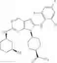 Fig. 465 - Substituted aminopurine compounds, compositions thereof, and methods of treatment therewith
