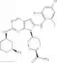 Fig. 466 - Substituted aminopurine compounds, compositions thereof, and methods of treatment therewith