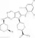 Fig. 467 - Substituted aminopurine compounds, compositions thereof, and methods of treatment therewith