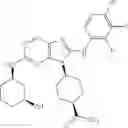 Fig. 474 - Substituted aminopurine compounds, compositions thereof, and methods of treatment therewith