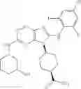 Fig. 486 - Substituted aminopurine compounds, compositions thereof, and methods of treatment therewith