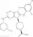 Fig. 490 - Substituted aminopurine compounds, compositions thereof, and methods of treatment therewith