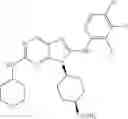 Fig. 68 - Substituted aminopurine compounds, compositions thereof, and methods of treatment therewith