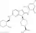 Fig. 775 - Substituted aminopurine compounds, compositions thereof, and methods of treatment therewith