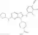 Fig. 807 - Substituted aminopurine compounds, compositions thereof, and methods of treatment therewith