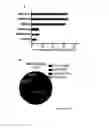 Fig. 09 - Methods for treating T-cell acute lymphoblastic leukemia