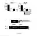 Fig. 18 - Methods for treating T-cell acute lymphoblastic leukemia