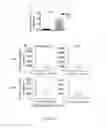 Fig. 30 - Methods for treating T-cell acute lymphoblastic leukemia