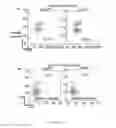 Fig. 36 - Methods for treating T-cell acute lymphoblastic leukemia
