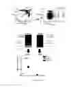 Fig. 37 - Methods for treating T-cell acute lymphoblastic leukemia