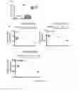 Fig. 49 - Methods for treating T-cell acute lymphoblastic leukemia