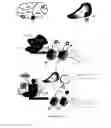 Fig. 56 - Methods for treating T-cell acute lymphoblastic leukemia