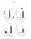 Fig. 03 - LPA RECEPTOR MODULATORS FOR BROWN FAT DIFFERENTIATION