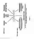 Fig. 02 - Analogs of N-acetlyglucosamine and uses thereof