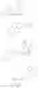 Fig. 60 - Glycoside derivatives and uses thereof