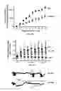 Fig. 13 - Methods of Treating Neurological Diseases