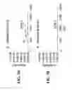 Fig. 10 - Deep sea water extract and use thereof