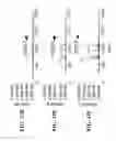 Fig. 23 - Deep sea water extract and use thereof
