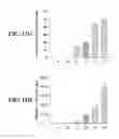 Fig. 24 - Deep sea water extract and use thereof