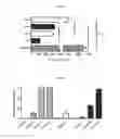 Fig. 19 - Compositions and methods for cell transplantation
