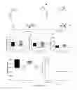 Fig. 04 - Modulation of fat storage in a subject by altering population levels of christensenellaceae in the GI tract