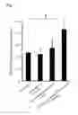 Fig. 02 - AGENT FOR PREVENTING OR AMELIORATING VASCULAR ENDOTHELIAL MALFUNCTION