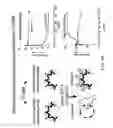 Fig. 56 - TREATMENT OF COMPLEMENT-ASSOCIATED DISORDERS