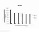 Fig. 10 - Stable MIA/CD-RAP formulation