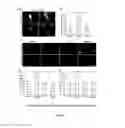 Fig. 06 - Compositions and methods for modulating stem cells and uses thereof
