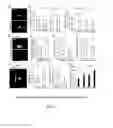 Fig. 08 - Compositions and methods for modulating stem cells and uses thereof