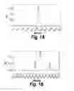 Fig. 02 - METHODS AND COMPOSITIONS FOR CNS DELIVERY OF HEPARAN N-SULFATASE