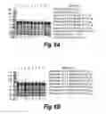Fig. 10 - METHODS AND COMPOSITIONS FOR CNS DELIVERY OF HEPARAN N-SULFATASE