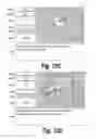 Fig. 19 - METHODS AND COMPOSITIONS FOR CNS DELIVERY OF HEPARAN N-SULFATASE