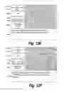 Fig. 20 - METHODS AND COMPOSITIONS FOR CNS DELIVERY OF HEPARAN N-SULFATASE
