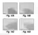 Fig. 25 - METHODS AND COMPOSITIONS FOR CNS DELIVERY OF HEPARAN N-SULFATASE