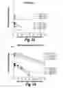 Fig. 29 - METHODS AND COMPOSITIONS FOR CNS DELIVERY OF HEPARAN N-SULFATASE