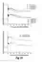 Fig. 30 - METHODS AND COMPOSITIONS FOR CNS DELIVERY OF HEPARAN N-SULFATASE