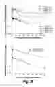 Fig. 33 - METHODS AND COMPOSITIONS FOR CNS DELIVERY OF HEPARAN N-SULFATASE