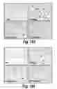 Fig. 137 - CNS delivery of therapeutic agents