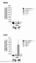 Fig. 33 - CNS delivery of therapeutic agents