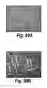 Fig. 59 - CNS delivery of therapeutic agents