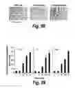 Fig. 67 - CNS delivery of therapeutic agents