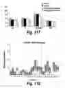 Fig. 77 - CNS delivery of therapeutic agents