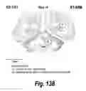 Fig. 93 - CNS delivery of therapeutic agents